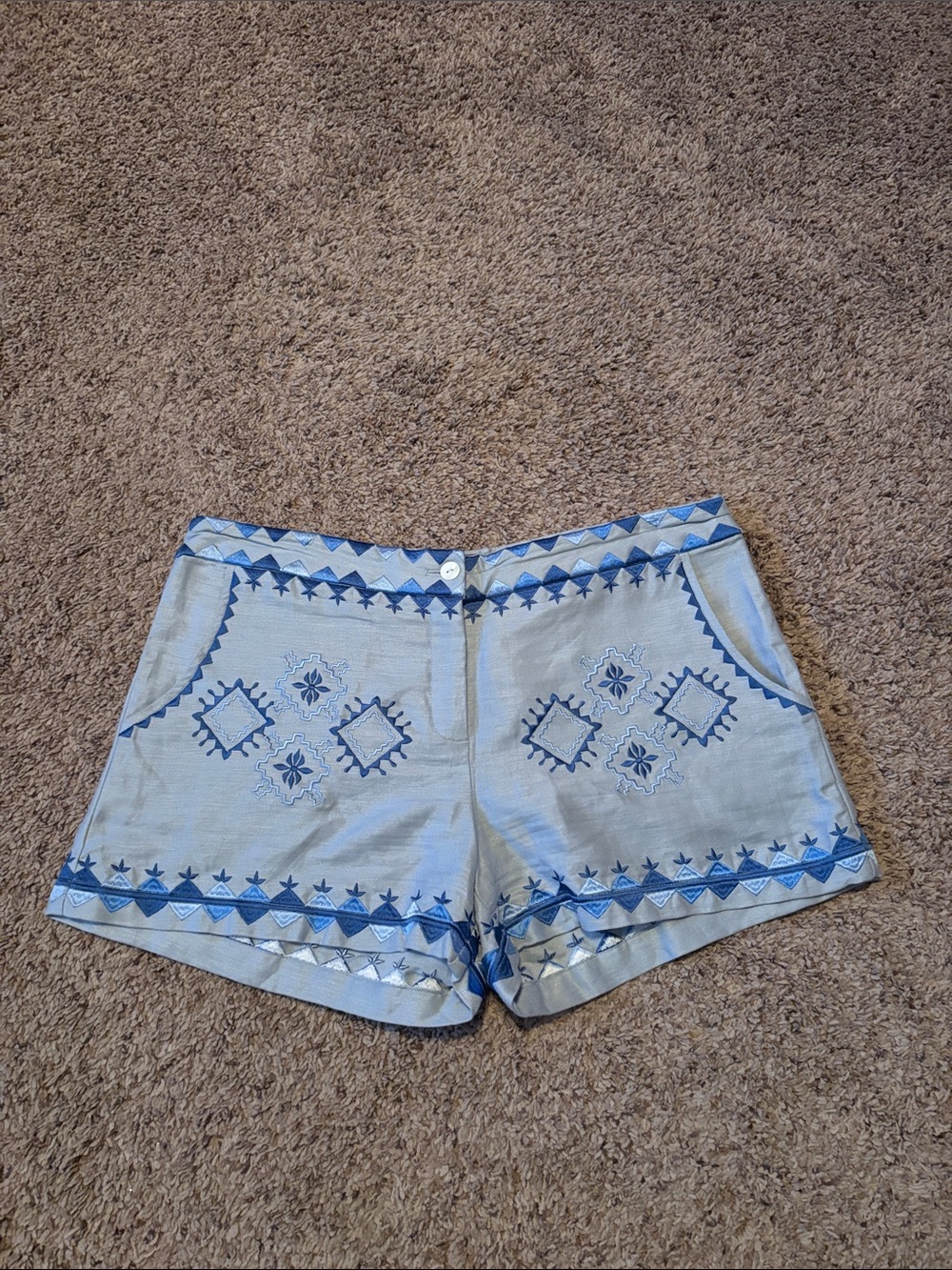 Union of Angels Embroidered Blue Shorts L